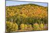 USA, New Hampshire, fall foliage Bretton Woods at base of Mount Washington-Alison Jones-Mounted Photographic Print