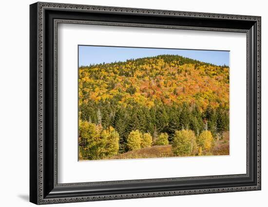 USA, New Hampshire, fall foliage Bretton Woods at base of Mount Washington-Alison Jones-Framed Photographic Print