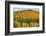 USA, New Hampshire, fall foliage Bretton Woods at base of Mount Washington-Alison Jones-Framed Photographic Print