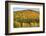 USA, New Hampshire, fall foliage Bretton Woods at base of Mount Washington-Alison Jones-Framed Photographic Print