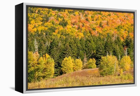 USA, New Hampshire, fall foliage Bretton Woods at base of Mount Washington-Alison Jones-Framed Premier Image Canvas