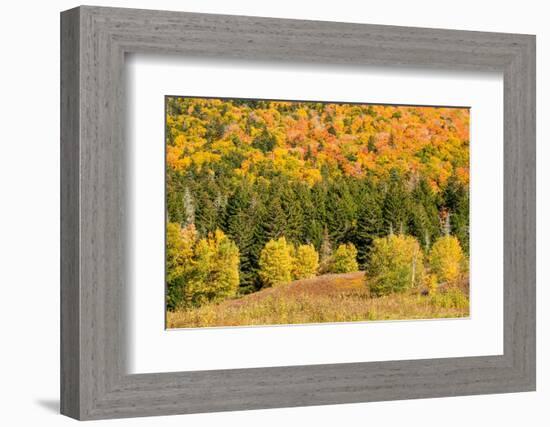 USA, New Hampshire, fall foliage Bretton Woods at base of Mount Washington-Alison Jones-Framed Photographic Print