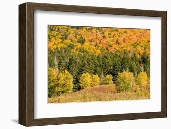 USA, New Hampshire, fall foliage Bretton Woods at base of Mount Washington-Alison Jones-Framed Photographic Print