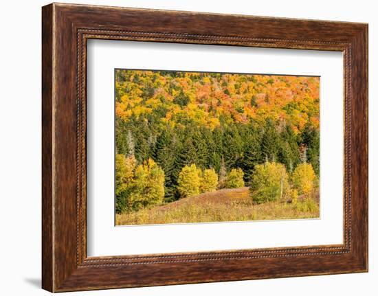 USA, New Hampshire, fall foliage Bretton Woods at base of Mount Washington-Alison Jones-Framed Photographic Print