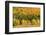 USA, New Hampshire, fall foliage Bretton Woods at base of Mount Washington-Alison Jones-Framed Photographic Print