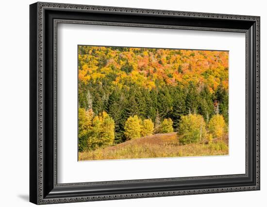 USA, New Hampshire, fall foliage Bretton Woods at base of Mount Washington-Alison Jones-Framed Photographic Print