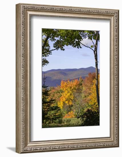 USA, New Hampshire, fall foliage Lancaster on Gore Road-Alison Jones-Framed Photographic Print