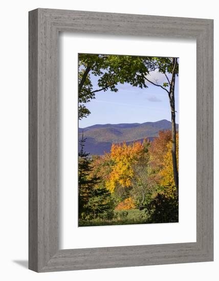 USA, New Hampshire, fall foliage Lancaster on Gore Road-Alison Jones-Framed Photographic Print