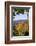 USA, New Hampshire, fall foliage Lancaster on Gore Road-Alison Jones-Framed Photographic Print