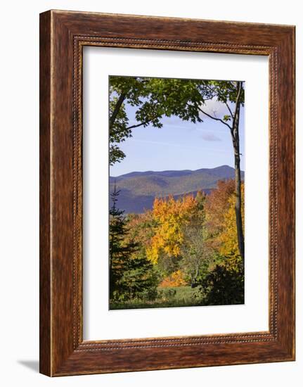 USA, New Hampshire, fall foliage Lancaster on Gore Road-Alison Jones-Framed Photographic Print