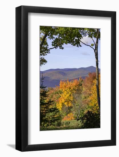 USA, New Hampshire, fall foliage Lancaster on Gore Road-Alison Jones-Framed Photographic Print