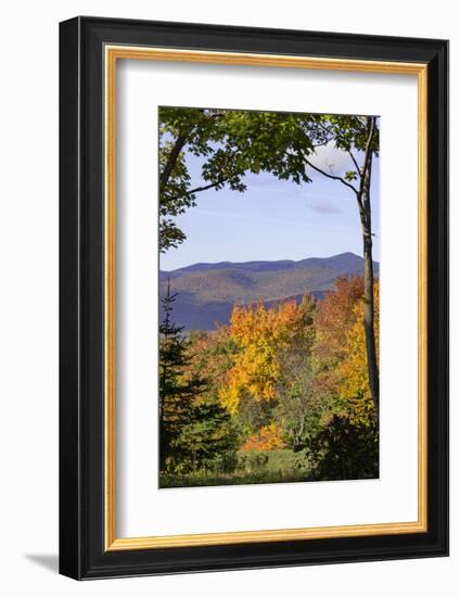 USA, New Hampshire, fall foliage Lancaster on Gore Road-Alison Jones-Framed Photographic Print