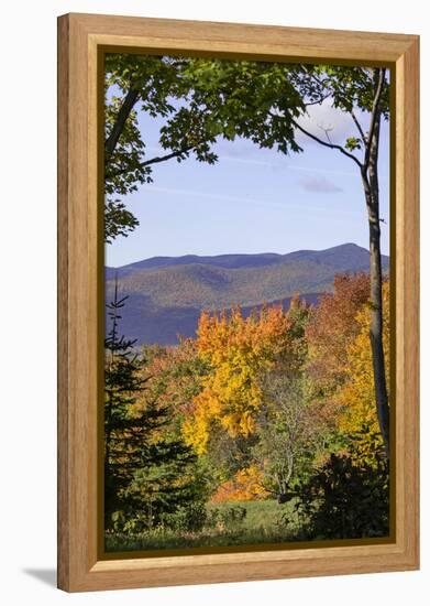 USA, New Hampshire, fall foliage Lancaster on Gore Road-Alison Jones-Framed Premier Image Canvas