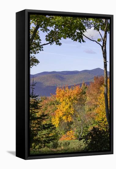 USA, New Hampshire, fall foliage Lancaster on Gore Road-Alison Jones-Framed Premier Image Canvas