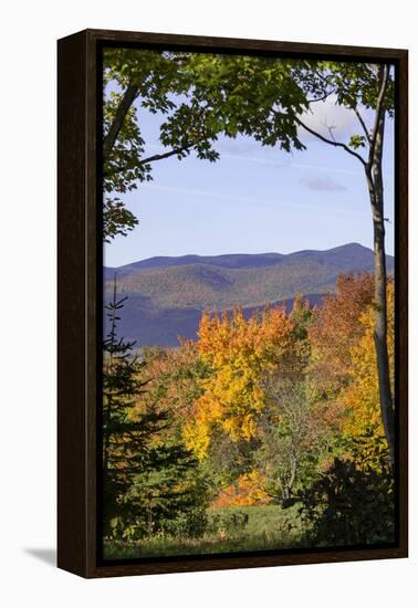 USA, New Hampshire, fall foliage Lancaster on Gore Road-Alison Jones-Framed Premier Image Canvas