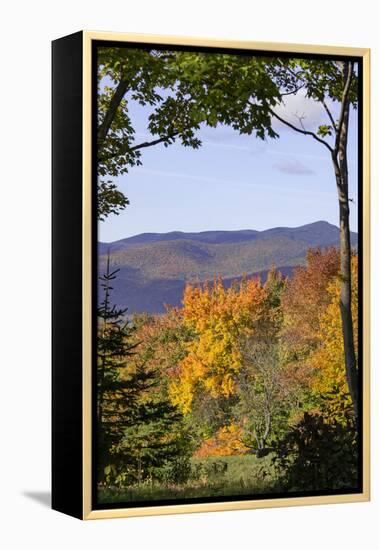 USA, New Hampshire, fall foliage Lancaster on Gore Road-Alison Jones-Framed Premier Image Canvas