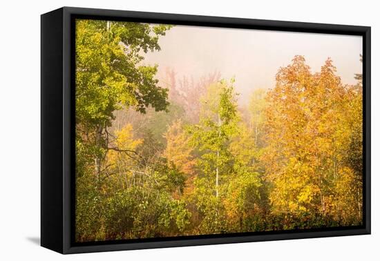 USA, New Hampshire, fall foliage north of Whitefield, along Rt. 3.-Alison Jones-Framed Premier Image Canvas