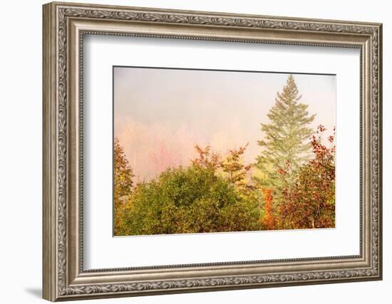 USA, New Hampshire, fall foliage north of Whitefield, along Rt. 3.-Alison Jones-Framed Photographic Print