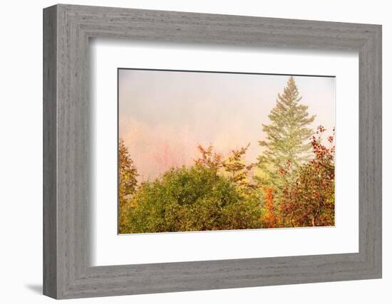 USA, New Hampshire, fall foliage north of Whitefield, along Rt. 3.-Alison Jones-Framed Photographic Print