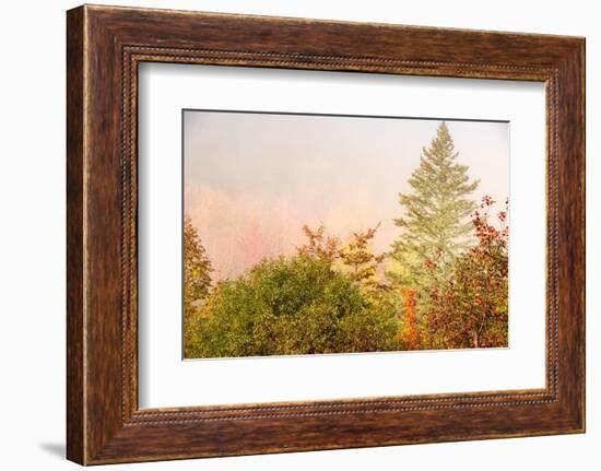 USA, New Hampshire, fall foliage north of Whitefield, along Rt. 3.-Alison Jones-Framed Photographic Print