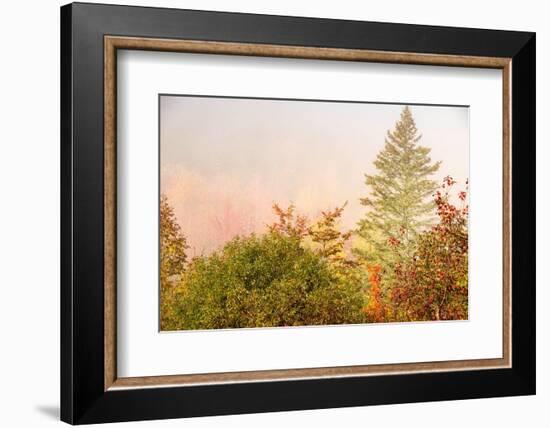 USA, New Hampshire, fall foliage north of Whitefield, along Rt. 3.-Alison Jones-Framed Photographic Print