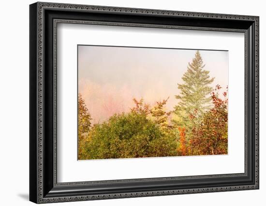 USA, New Hampshire, fall foliage north of Whitefield, along Rt. 3.-Alison Jones-Framed Photographic Print