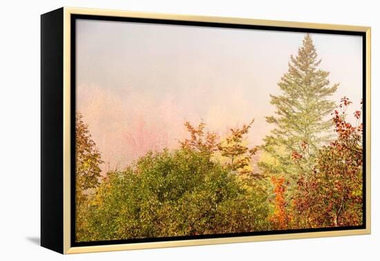 USA, New Hampshire, fall foliage north of Whitefield, along Rt. 3.-Alison Jones-Framed Premier Image Canvas