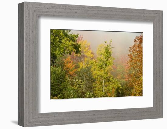 USA, New Hampshire, fall foliage north of Whitefield, along Rt. 3.-Alison Jones-Framed Photographic Print