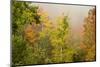 USA, New Hampshire, fall foliage north of Whitefield, along Rt. 3.-Alison Jones-Mounted Photographic Print