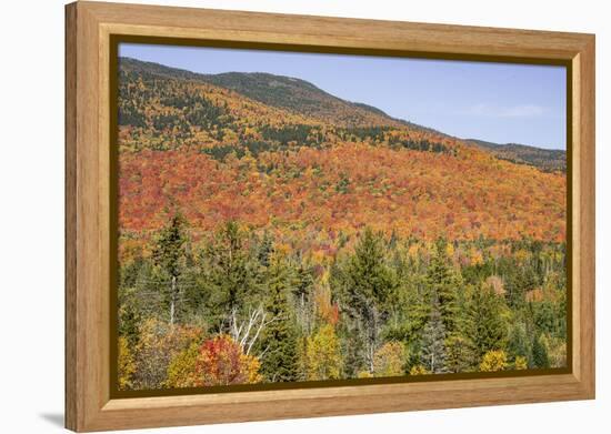 USA, New Hampshire, fall foliage-Alison Jones-Framed Premier Image Canvas