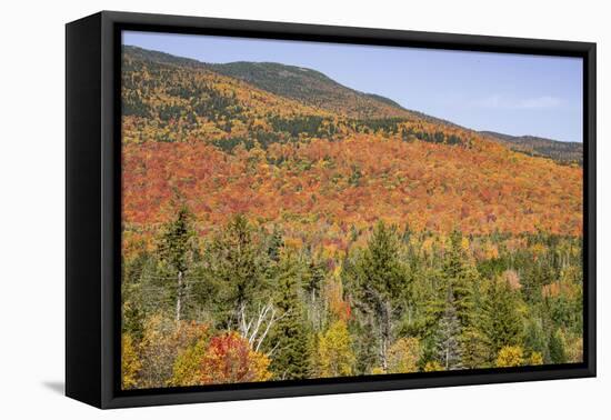 USA, New Hampshire, fall foliage-Alison Jones-Framed Premier Image Canvas