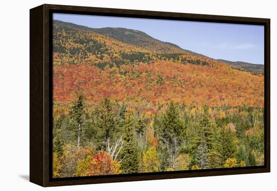USA, New Hampshire, fall foliage-Alison Jones-Framed Premier Image Canvas