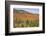 USA, New Hampshire, fall foliage-Alison Jones-Framed Photographic Print