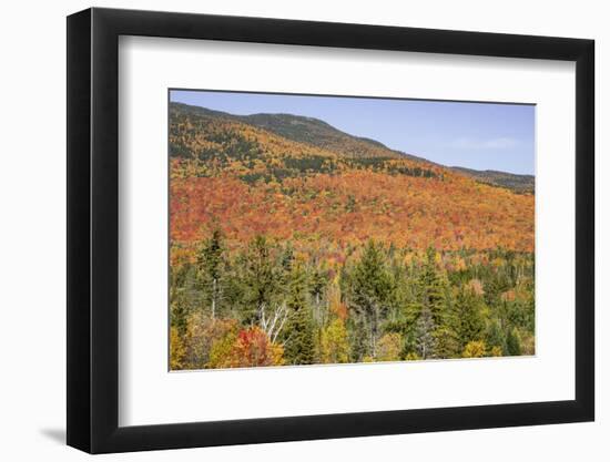 USA, New Hampshire, fall foliage-Alison Jones-Framed Photographic Print