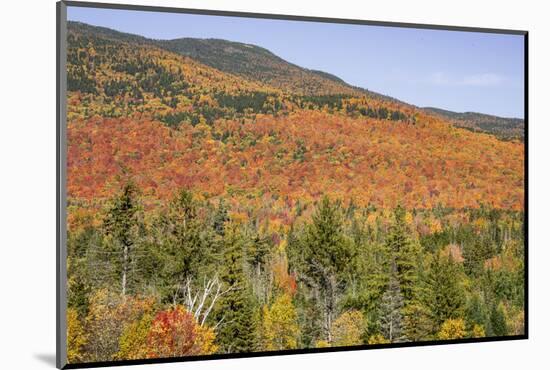USA, New Hampshire, fall foliage-Alison Jones-Mounted Photographic Print
