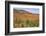 USA, New Hampshire, fall foliage-Alison Jones-Framed Photographic Print