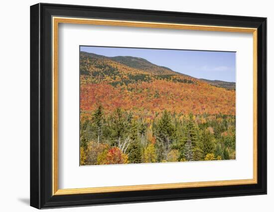 USA, New Hampshire, fall foliage-Alison Jones-Framed Photographic Print