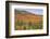 USA, New Hampshire, fall foliage-Alison Jones-Framed Photographic Print