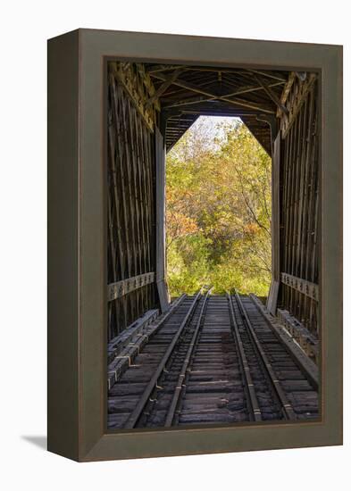 USA, New Hampshire, fall foliage-Alison Jones-Framed Premier Image Canvas