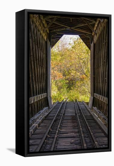 USA, New Hampshire, fall foliage-Alison Jones-Framed Premier Image Canvas