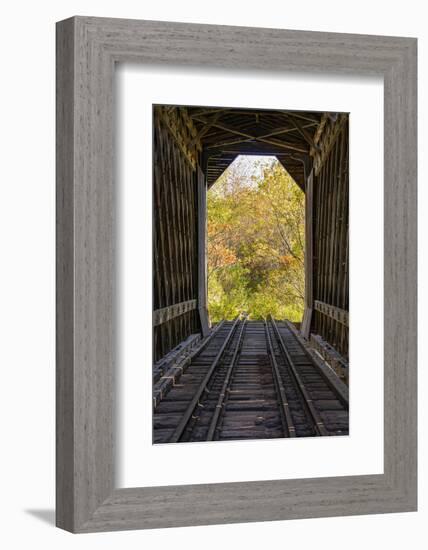 USA, New Hampshire, fall foliage-Alison Jones-Framed Photographic Print