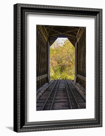 USA, New Hampshire, fall foliage-Alison Jones-Framed Photographic Print