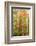USA, New Hampshire, Gorham, White Birch tree trunks surrounded by Fall colors-Sylvia Gulin-Framed Photographic Print