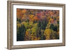 USA, New Hampshire just north of Jackson on highway 16 with the hillside covered in Autumns colors-Sylvia Gulin-Framed Photographic Print