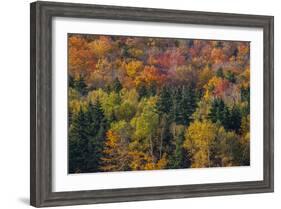 USA, New Hampshire just north of Jackson on highway 16 with the hillside covered in Autumns colors-Sylvia Gulin-Framed Photographic Print
