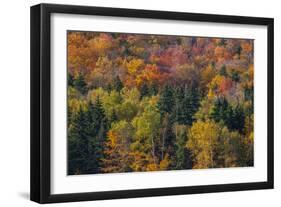 USA, New Hampshire just north of Jackson on highway 16 with the hillside covered in Autumns colors-Sylvia Gulin-Framed Photographic Print