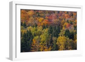 USA, New Hampshire just north of Jackson on highway 16 with the hillside covered in Autumns colors-Sylvia Gulin-Framed Photographic Print