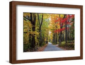USA, New Hampshire, tree-lined road with maple trees in Fall colors.-Sylvia Gulin-Framed Photographic Print