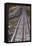 USA, New Hampshire, White Mountains, Bretton Woods, Mount Washington Cog Railway Trestle-Walter Bibikow-Framed Premier Image Canvas