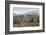 USA, New Hampshire, White Mountains, Bretton Woods, Mount Washington Cog Railway-Walter Bibikow-Framed Photographic Print